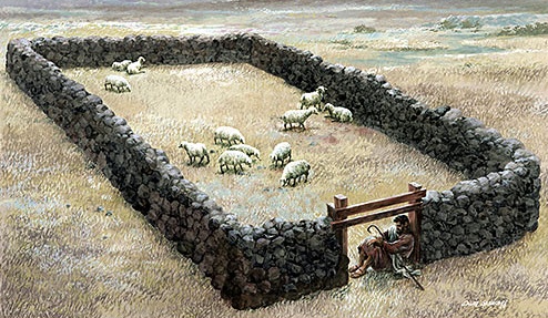 image opf a sheepfold
